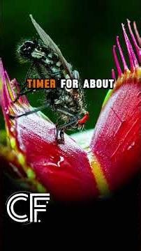 Plant That Can Count #facts #cosmicexploration #biology