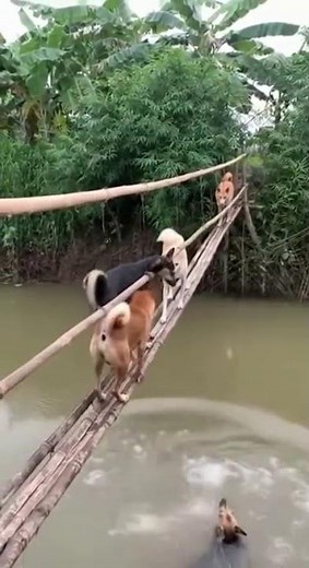 Opening Roblox Gift Cards! Huge Robux Rewards!