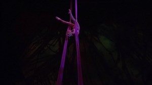 2.2K views · 174 reactions | The earth meets cloud nine with balance, grace, and control. | Mystère by Cirque du Soleil | Facebook