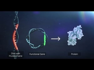 Gene Therapy Explained  • Video • MEDtube.net