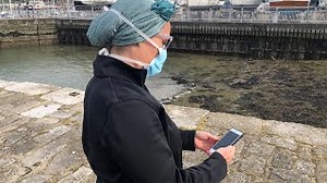 NHS test and trace system to launch without app