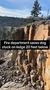 This lucky dog was rescued by The Susanville City Fire Department after being stranded on a ledge 20 feet below the top of a cliff. The rescue mission was so complicated three different agencies had to get involved. A firefighter was lowered using a rope system and secured the pup before they were both lowered down the cliff to safety. | 48 Hours