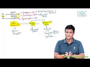 Heart Development Embryology | Step-by-Step Explanation |Dr AZAM |