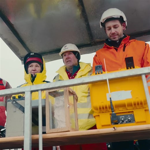 Sprengung der Kühltürme am Kraftwerk Boxberg