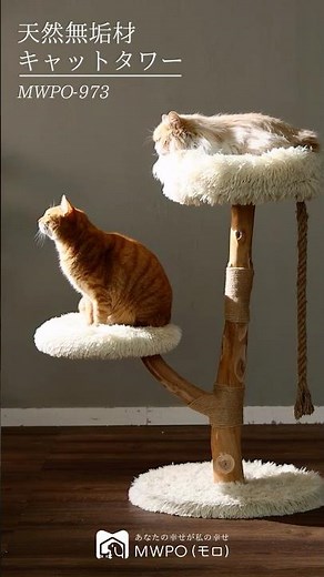 新作登場│梨の木 天然無垢材キャットタワー MWPO-973 #キャットタワー #新商品 #猫のいる暮らし