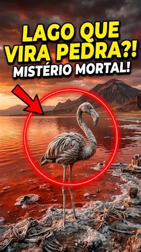 O lago que transforma animais em pedra!! #curiosidades #natureza #mistérios #ciencia