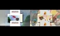 Mix of 2 videos from youtube : Similar Scan Twoparison: Angry Birds Rio Trailer And Larva Scan