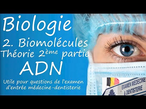 EXMD Biologie Théorie 2b Biomolécules : 2ème partie : structure ADN