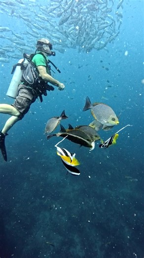 317K views · 7.4K reactions | Today’s reel is short — not for lack of content, but because I chose to live it, not shoot it. #oceanreality #livethemoment #reellife #rawvibes #authenticenergy | Ocean Reality Channel | Facebook