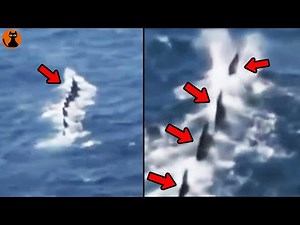 A giant creature with a Godzilla-like dorsal fin appears on the ocean surface... 8 unidentified c...
