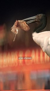 We work our arse off for you, with big coverage and hard-working value, plus we're on the Full Telstra Prepaid Mobile Network. | Boost Mobile Australia