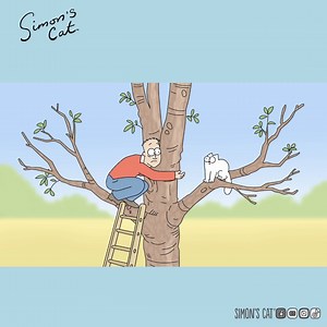768K views · 22K reactions | When your cat gets stuck on a tree...沈 | Simon's Cat | Facebook