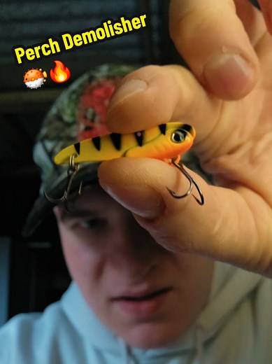 Best Perch Lures for Effective Fishing Techniques