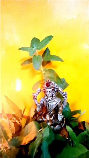 Goddess Lakshmi