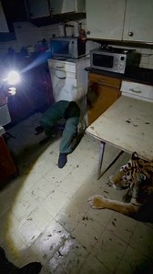 34K views · 260 reactions | kitchen tour | dreamrecorder | Facebook