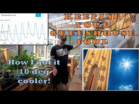 How to Keep Your Greenhouse Cool