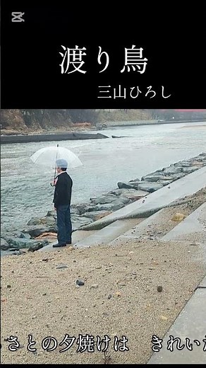 【三山ひろし】渡り鳥