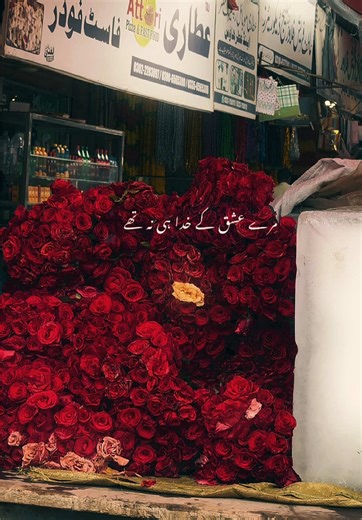 This Lines 🥀🥹💔 #tobateksingh #toba #tts #aesthetic #flypシ