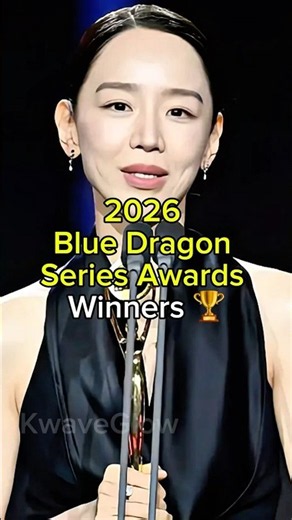 2026 Blue Dragon Series Awards Winners 🏆