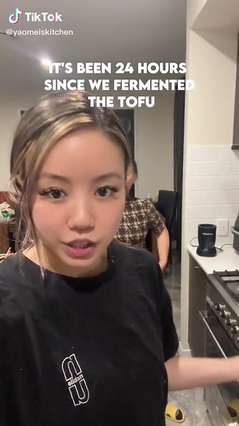 Homemade Tofu Recipe: Fermented, Hairy, and Moldy Tofu