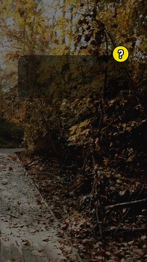 Interesting Chemistry Facts You Should Know. Chemistry Quiz Trivia Game. . #BranyPedia #facts #triviachallenge #interestingfacts #quiz #quizvideos #funfacts #QuizTime #TriviaTime #didyouknowfacts #DidYouKnow #moreyouknow #awesomefacts #Quiz #facts #chemistry #chemistryquiz | Brain Mingle