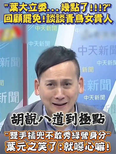 罷免回顧：青鳥與葉大立委的心路歷程