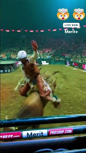 Wildcatters win! In a close game🔥#bull #cowboy