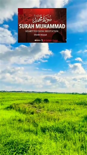 surah Muhammad সুরা মুহাম্মদ #allah #quran #duet #islamicvideo #nature #for #love