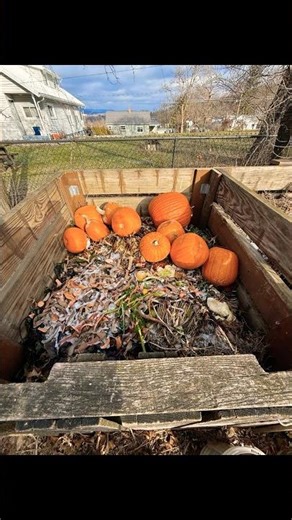 Lazy Winter Composting: Add Now, Turn Later! ❄️♻️