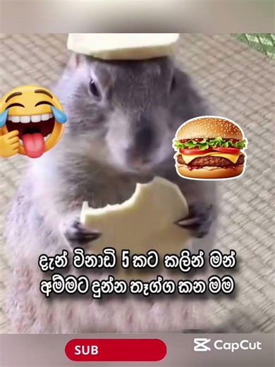 6381 #jokes #1millionviews #funnymemes #funnyimages #memehub #1million #1000subscribers