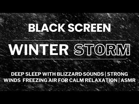 Deep Sleep with Blizzard Sounds | Strong Winds & Freezing Air for Calm Relaxation | ASMR