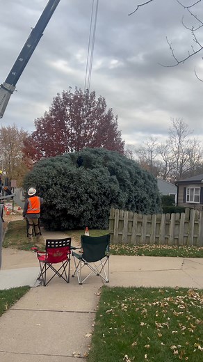 This tree is making its way from La Vista to The Durham Museum where it will be on display throughout the Christmas season! We’re following the journey from home to holiday on 6 News WOWT #Christmas #ChristmasTree #DurhamMuseum #Omaha | Maria Cade