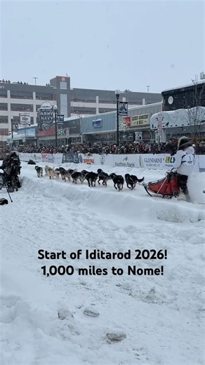 The Last Great Race on Earth!