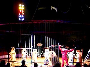 Circus Charles Knie - 12 - Alexander Lacey (lion & tiger taming/dressage) Part 1