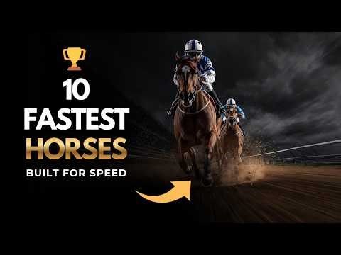Top 10 Fastest Racehorse Breeds In The World