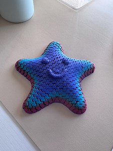 Starfish Fabric Fidget - Etsy Australia