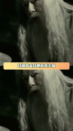哈利你完全邓布利多脑来着，堪比死士 #哈利波特与魔法石 #哈利波特 #邓布利多 #君臣 #鹅滴神片