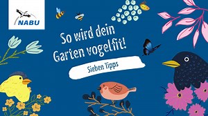 🐦 Wie vogelfit ist dein Garten? Wir geben Tipps, wie du deinen Garten vogelfreundlich gestalten kannst - und mit dem schönsten Konzert belohnt wirst! | NABU Bundesverband