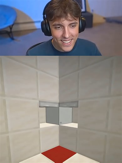 The Scariest Minecraft Optical Illusion Ever #minecraft #drdonut #games #fyp