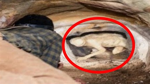 10 Scary Caves That Should Have Stayed Unexplored