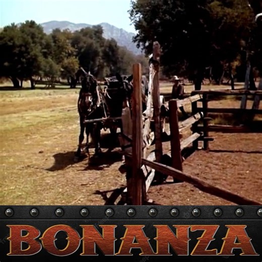 9K views · 391 reactions | Bonanza - Season 3 Episode 2 - Springtime P1 | Bonanza Forever | Facebook