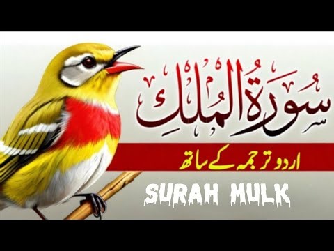 Surah Al-Mulk With Urdu Translaton | Quran Tilawat Beautiful Voice | Surah Mūlk Hindi Tarjuma