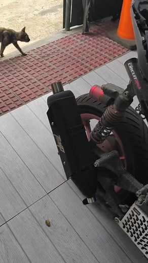 28K views · 229 reactions | TSMP S2.5 SOUND CHECK  #CircuitDNA | Circuit DNA | Facebook