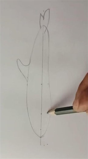 Dolphin Drawing Step by Step | Easy Dolphin Sketch Tutorial