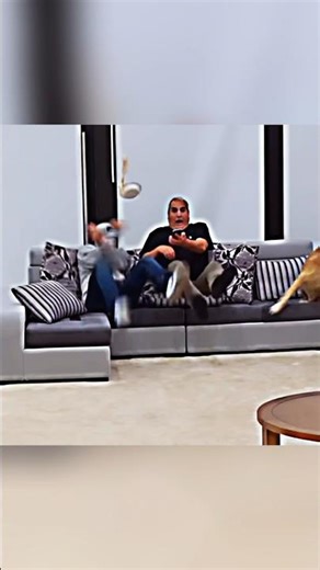 Chistes de papá #edit#alanstokes#funk #edit #funk #calavera #Broma #parati #Viral#funny