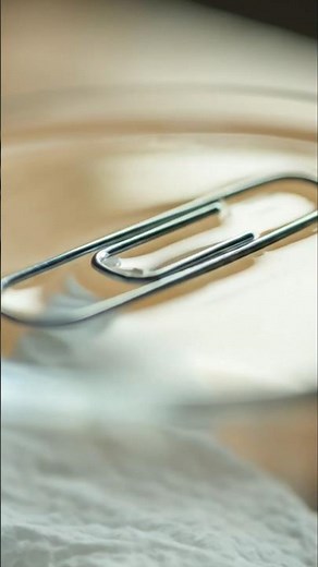 “Metal Clip Floats on Water 😱 Science Trick” #shorts