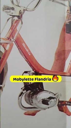 Une vraie légende des 50cc 😍🔥 Flandria Apollo
