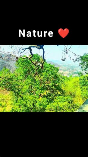 💐शिवनेरी+रायगड= शिवराय🚩 #raigad #shivnerifort #shivajimaharaj #shorts