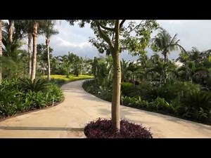 Jardines de México, ¡con todos los sentidos!