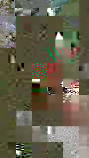 A smoldering chunk of punky wood (dry rotting wood) like this one, placed down wind from camp, is one of the most effective natural bug repellants that I know of. Place on a noncombustible surface like a rock or clear debris around it to bare earth. A piece the size of a football can smolder for several hours, depending on wood species. | Creek Stewart